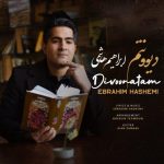 ابراهیم هاشمی دیوونتم