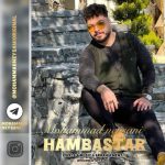 محمد نیسانی هم بستر