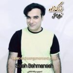 صالح بهمنش بزرگ زاده