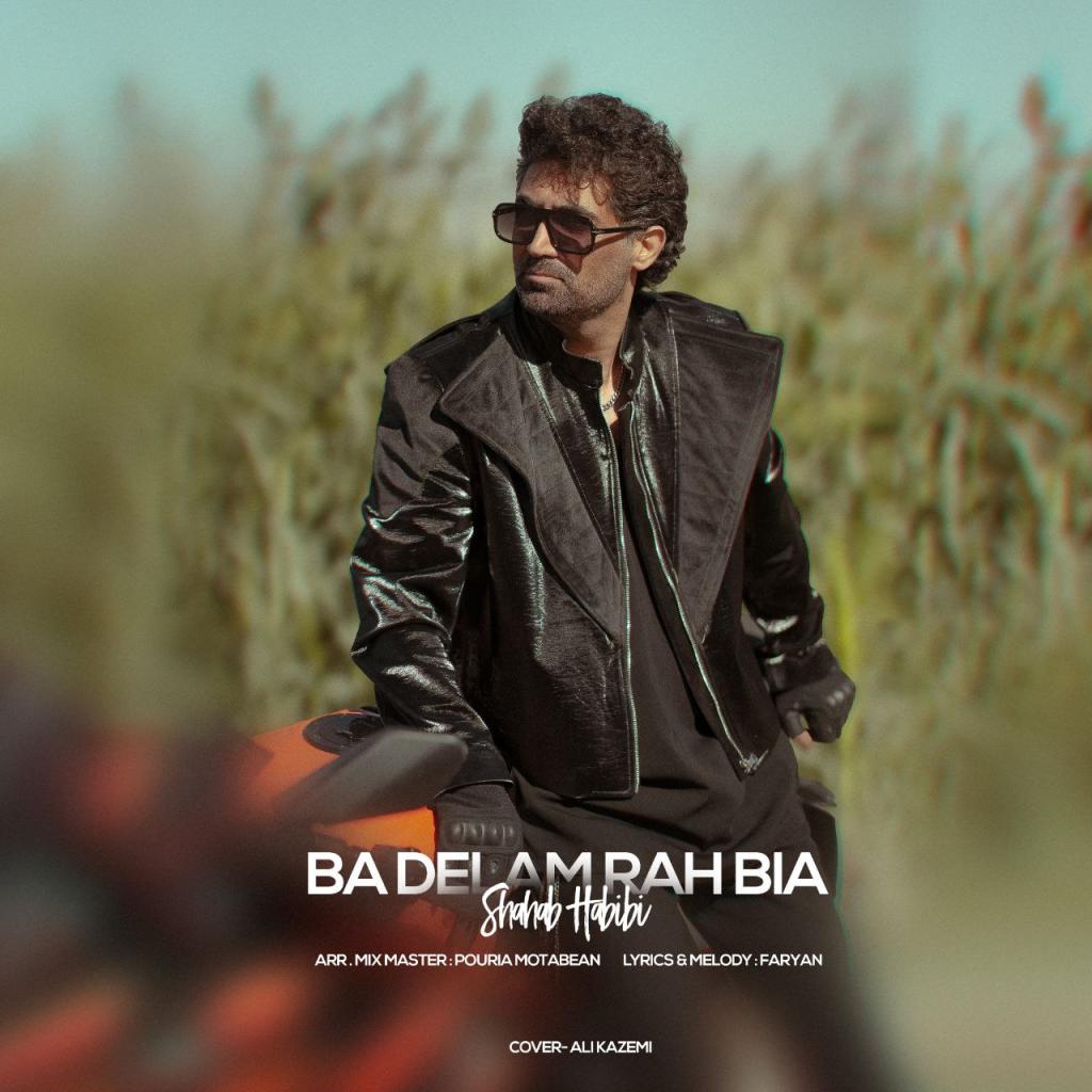 شهاب حبیبی - با دلم راه بیا
