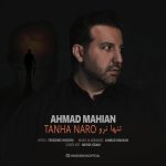 احمد ماهیان تنها نرو