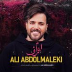 علی عبدالمالکی اعتراف