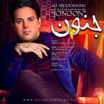 علی عبدالمالکی جنون