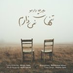 علیرضا دادجو تنهات نمیذارم