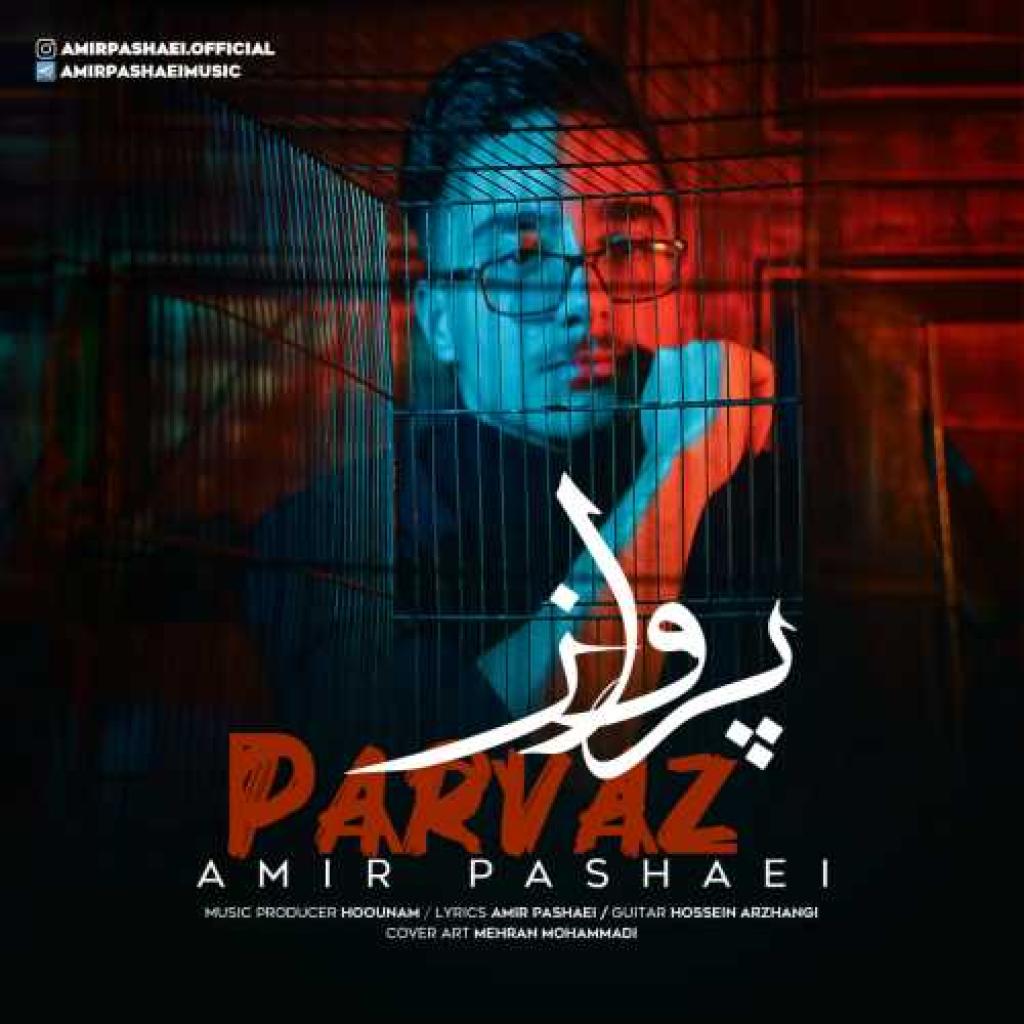امیر پاشایی - پرواز