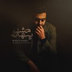 امیرحسین افتخاری پنهان مشو