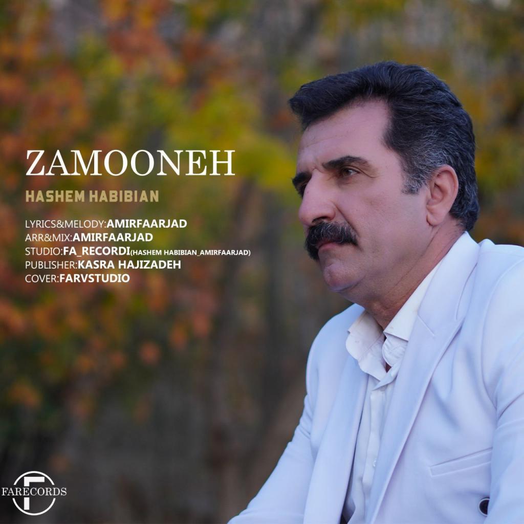 هاشم حبیبیان - زمونه