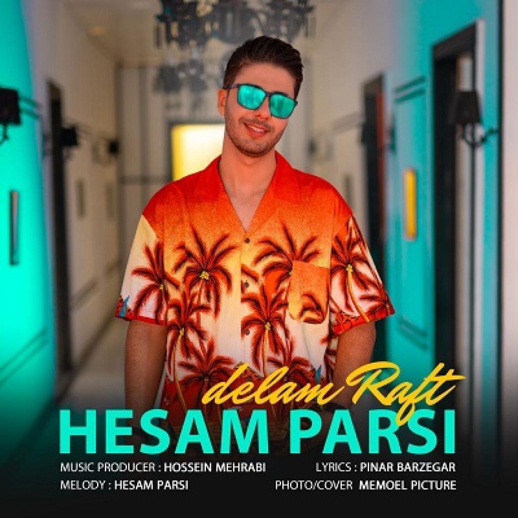 حسام پارسی - دلم رفت 