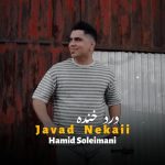 جواد نکایی درد خنده