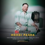 مهدی پاشا دلتنگتم