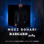 معز گوهری برگرد
