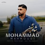 محمد محمودی شاه نشین