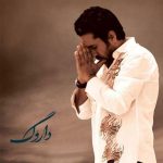 روزبه نعمت اللهی مست و دیوانه