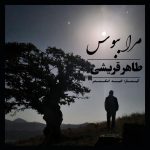 طاهر قریشی مرا ببوس