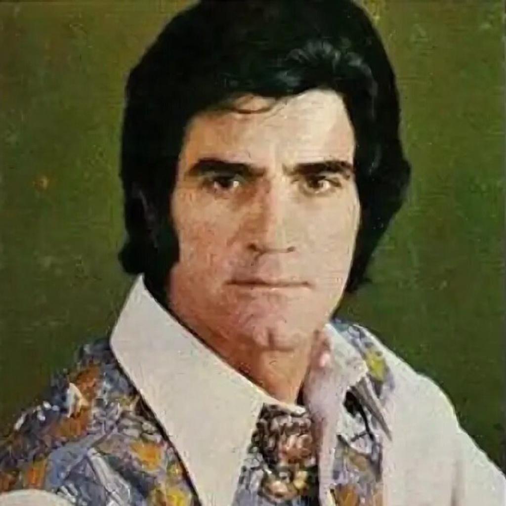 ویگن - از یاد رفته