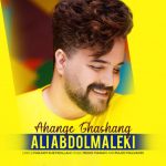 علی عبدالمالکی آهنگ قشنگ