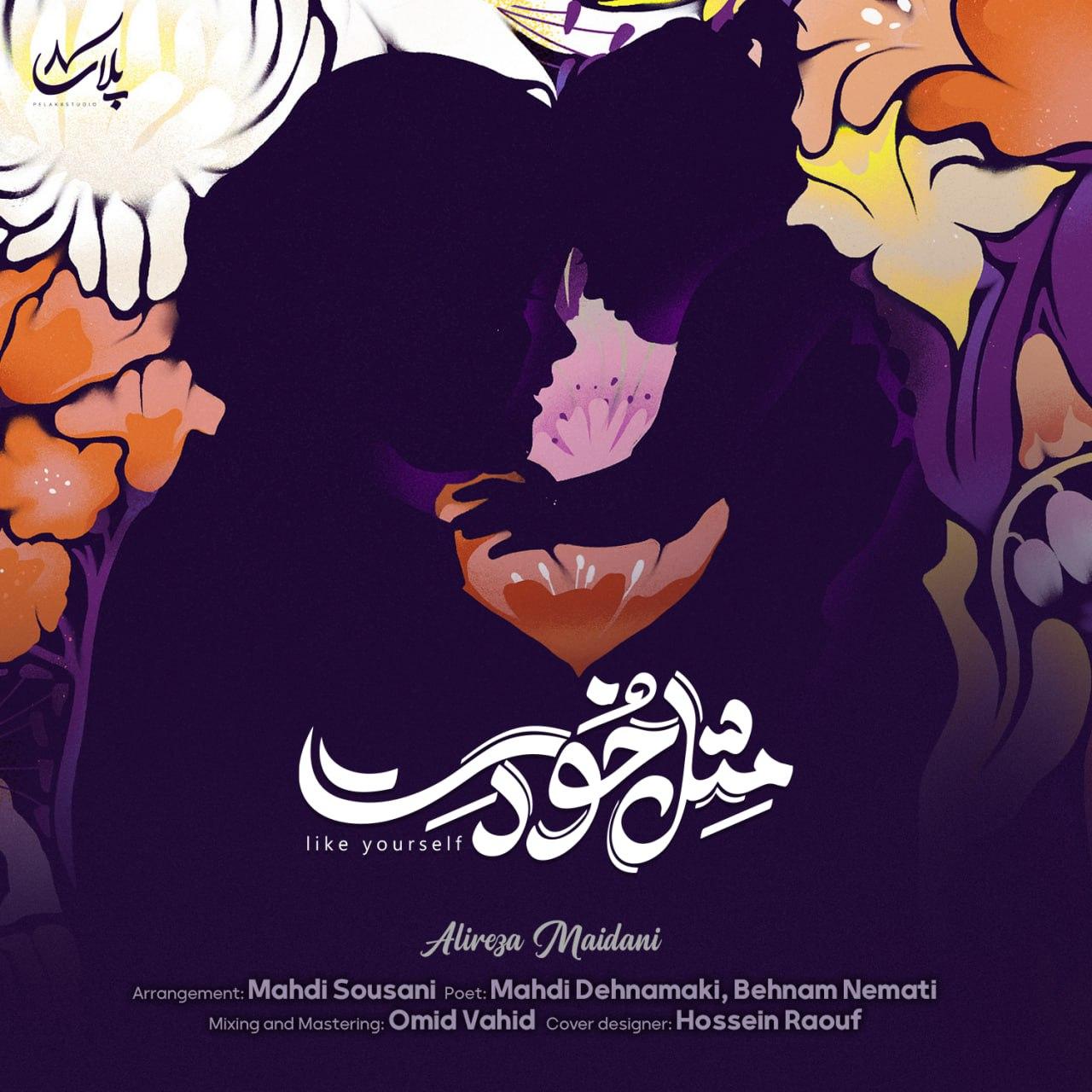علیرضا میدانی - مثل خودت