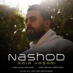 امیر حسنی نشد