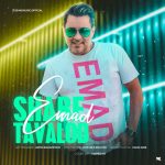 عماد شب تولد