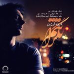 فرزاد فرزین نگرانتم