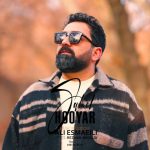 هویار ساحل
