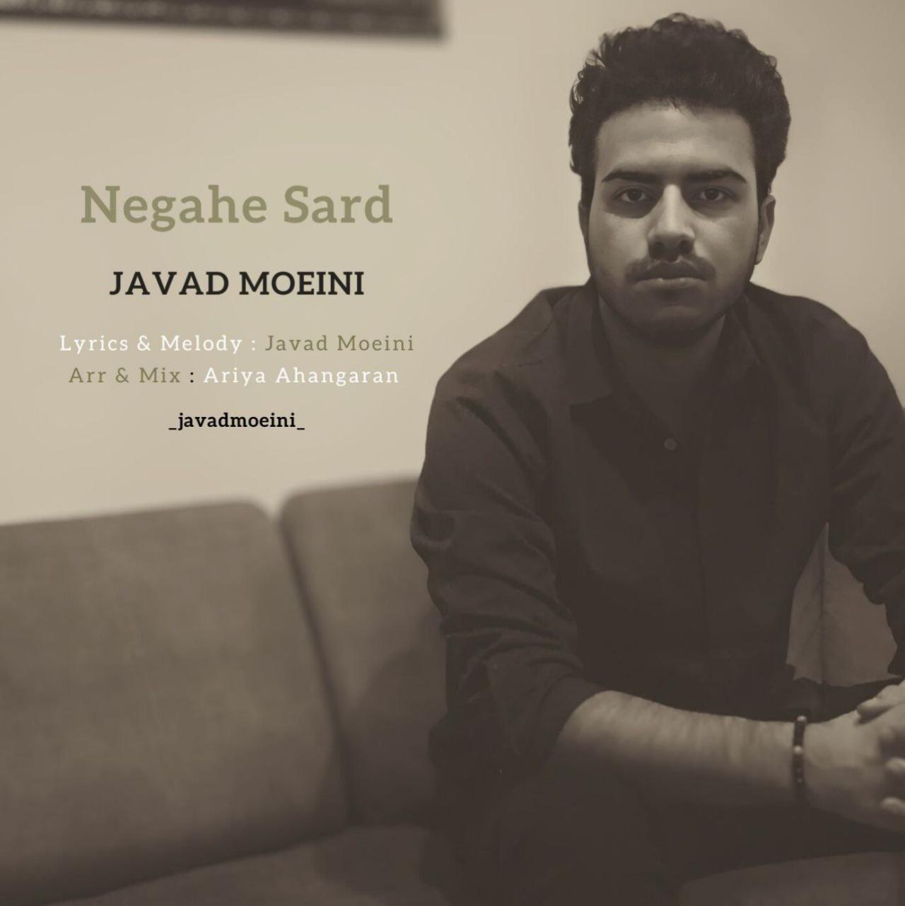 جواد معینی - نگاه سرد