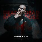 مهیار رز مرده (Dead Rose)
