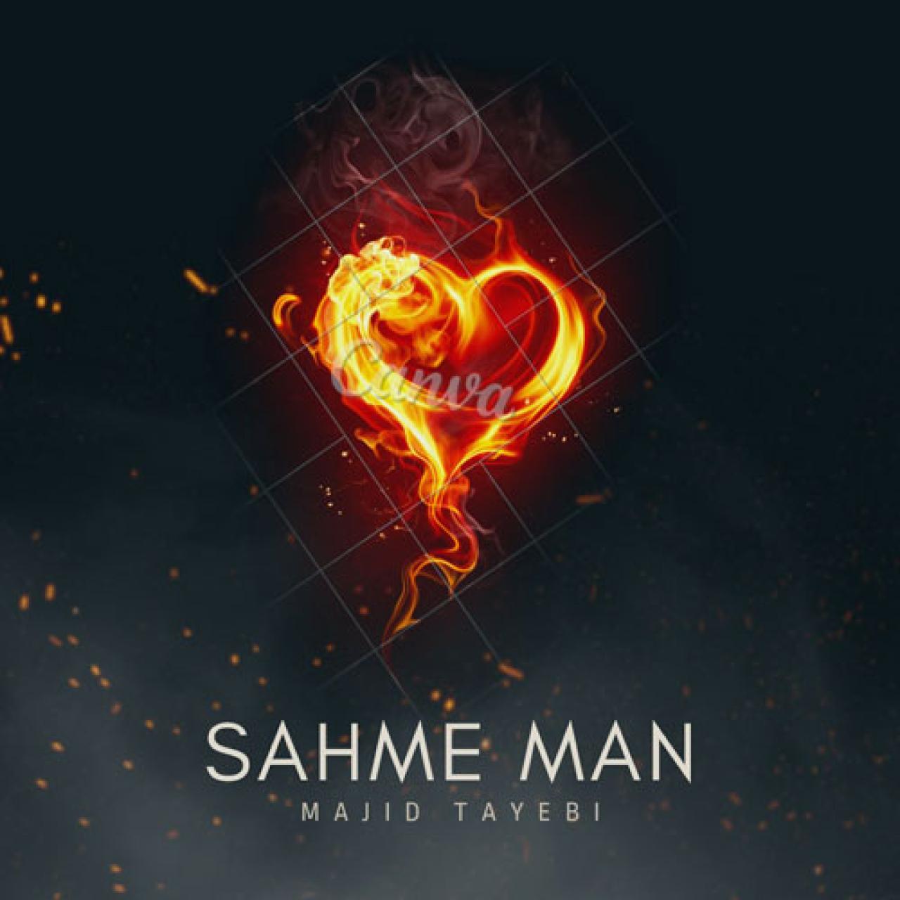 مجید طیبی - سهم من