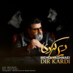 مهدی یغمایی دیر کردی