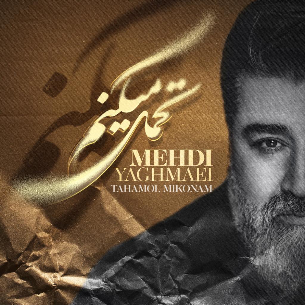 مهدی یغمایی - تحمل میکنم