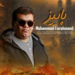 محمد فرهمند پاییز