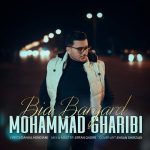 محمد غریبی بیا برگرد