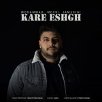 محمد مهدی جمشیدی کار عشق
