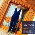 محسن شیبانی مهر یادم نیست
