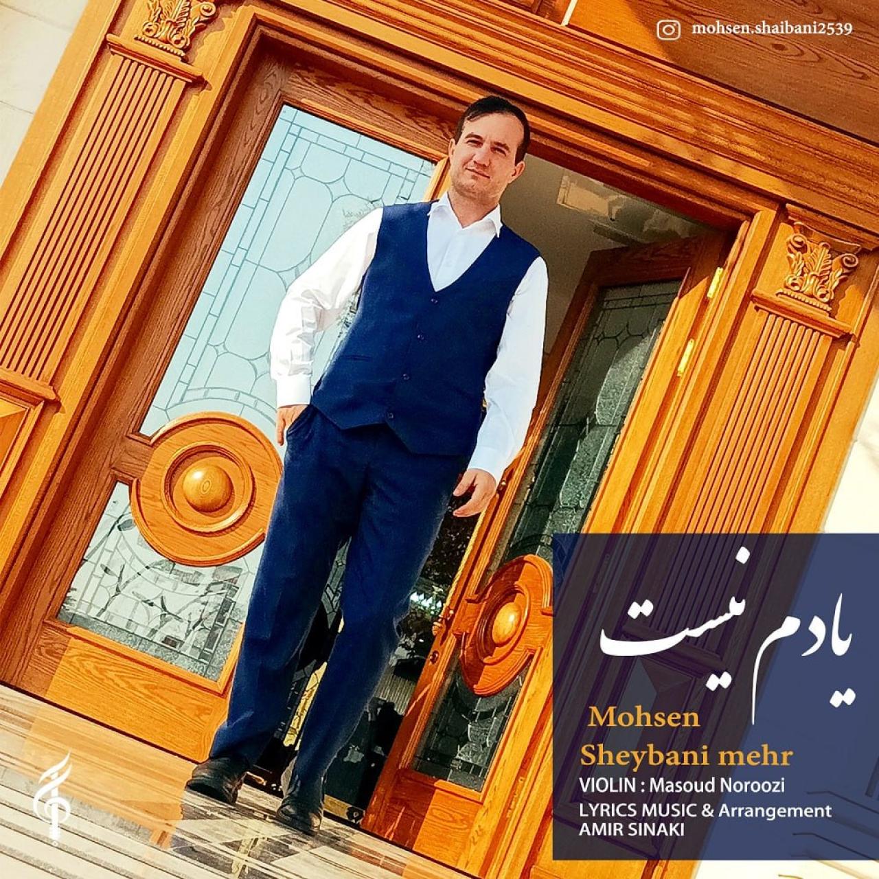 محسن شیبانی مهر - یادم نیست