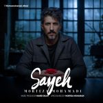 مرتضی محمدی سایه