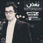مرتضی پاشایی بغض