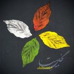 مرتضی پاشایی هم گریه