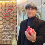 مصطفی دهقانی صبا شب چله