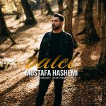 مصطفی هاشمی باطل