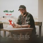 امید یگانه شب یلدا