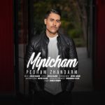 پدرام ژاندارم میپیچم