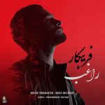 راغب فریبکار