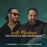 رضا صادقی امین شکرشکن جورتو میکشم