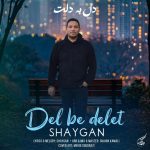 شایگان دل به دلت
