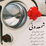 سیاوش بارانی شمعدونی