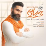 علی زندوکیلی چه زیبایی