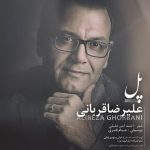 علیرضا قربانی پل