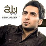 امین حبیبی قدرتو نمیدونم