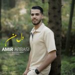 امیر عباسی دل من